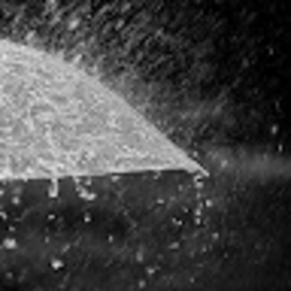 Meet your Posher, Rami - Picture 1 of 1